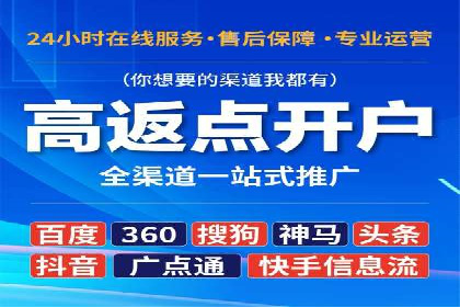 某某sem推广公司在某行业的应用与效果分析